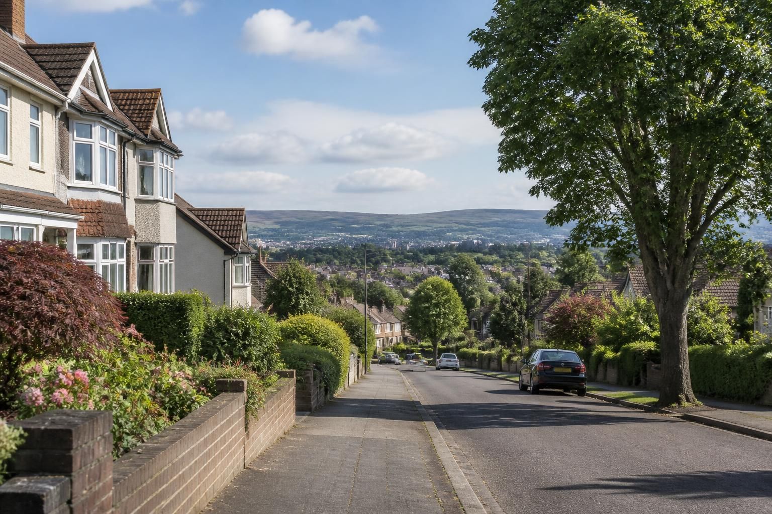 Welcoming suburban street with well-kept homes and greenery.