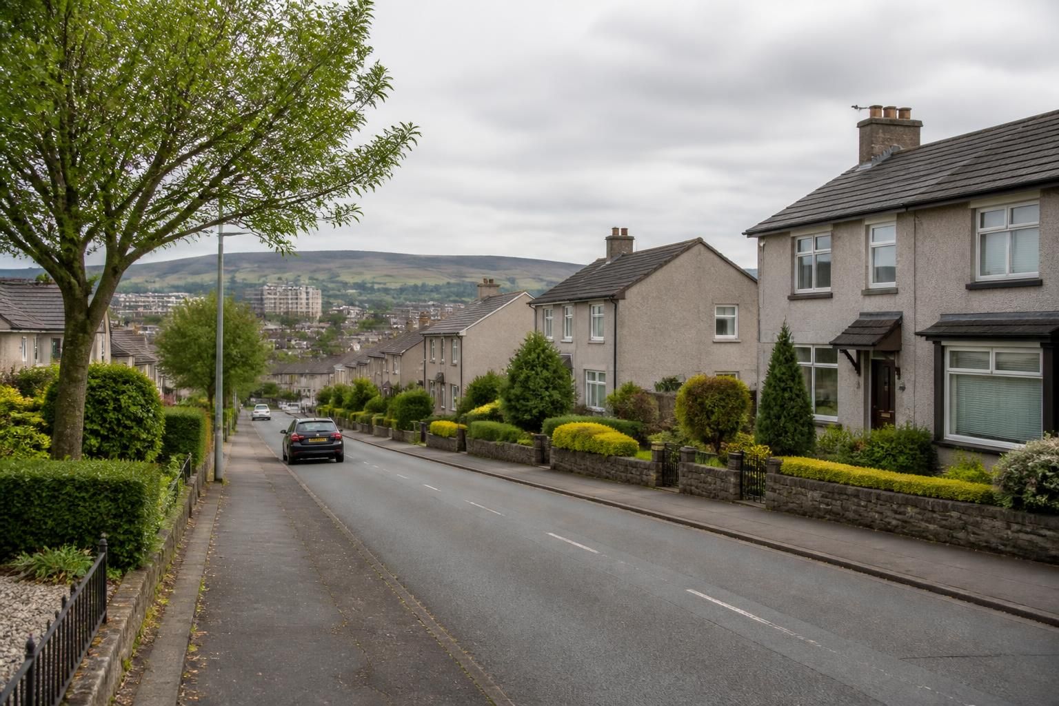 Residential district with neatly maintained homes and soft daylight.