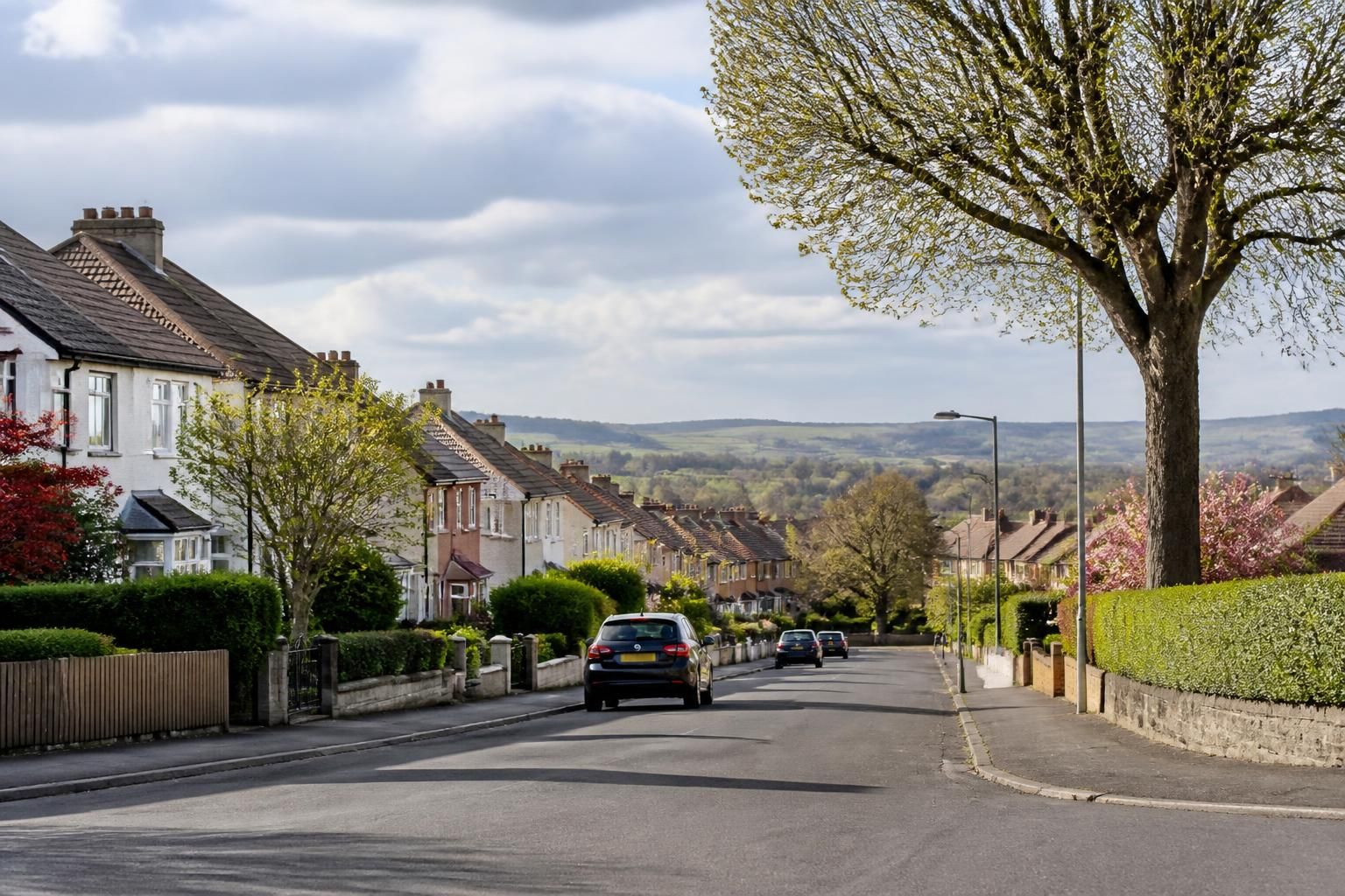 Neighborhood street with tidy homes and soft greenery.